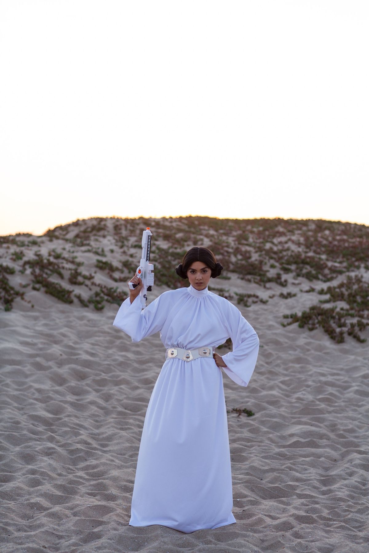 Hire Princess Leia